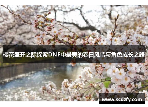 樱花盛开之际探索DNF中最美的春日风情与角色成长之路